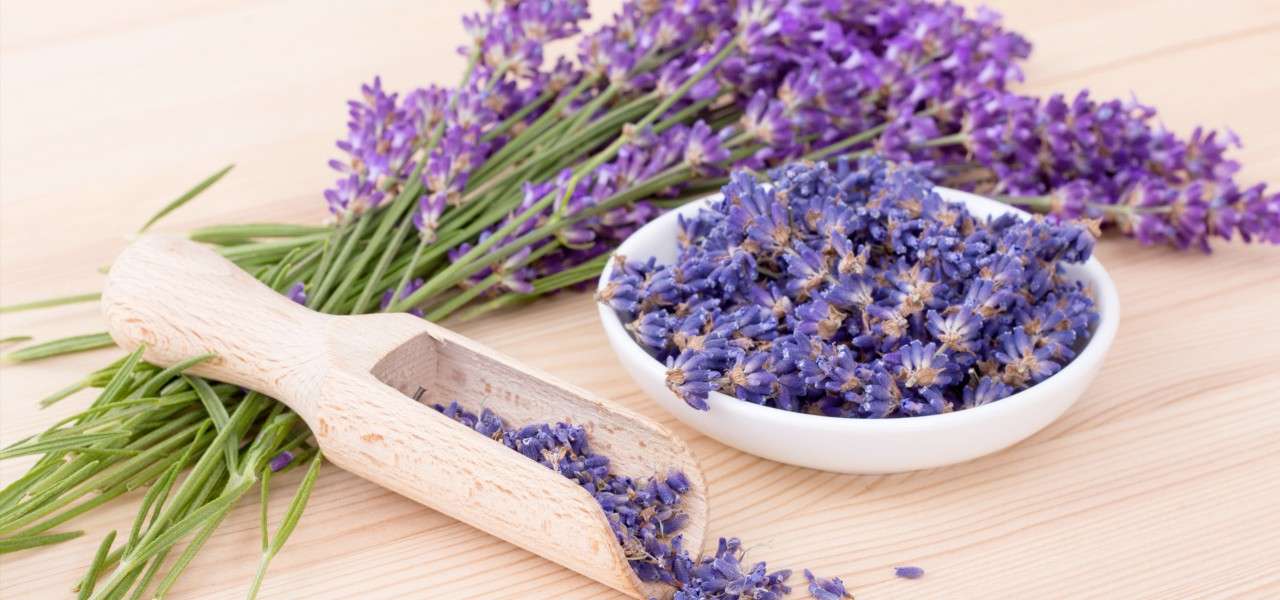 A bundle of fresh lavender flowers resting on a rustic wooden surface, highlighting its natural beauty and calming properties.